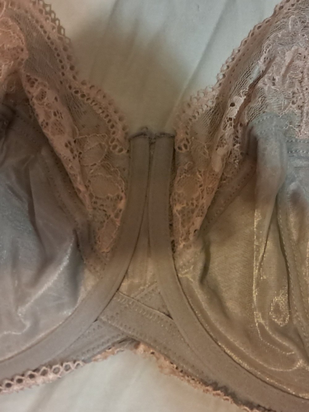 Panache "Clara" Lace Underwire Bra in Blush Pink And Dusty Rose - Picture 7 of 8